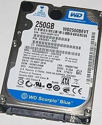 Жорсткий диск для ноутбука Western Digital Scorpio Blue 250 GB 2.5 (WD2500BEVT_)