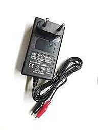 Зарядное устройство Bossman ZF120A-1202000 12V 2A - миниатюра 2
