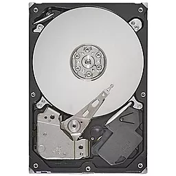 Жесткий диск Seagate SATA 1TB (ST31000528AS_) - фото Жесткий диск Seagate SATA 1TB (ST31000528AS_)