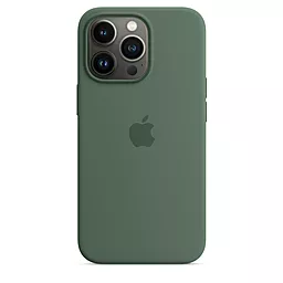 Чехол Apple Silicone Case Full with MagSafe and SplashScreen для Apple iPhone 13 Pro Eucalyptus