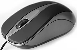 Комп'ютерна мишка Media-Tech Plano 800 dpi (MT1091T) - фото Комп'ютерна мишка Media-Tech Plano 800 dpi (MT1091T)