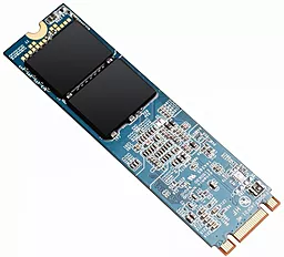SSD Накопитель Silicon Power M10 240 GB M.2 2280 SATA 3 (SP240GBSS3M10M28) - фото SSD Накопитель Silicon Power M10 240 GB M.2 2280 SATA 3 (SP240GBSS3M10M28)