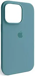 {"ru": "Чехол", "uk": "Чохол"} Silicone Case Full для Apple iPhone 16 Plus Cactus
