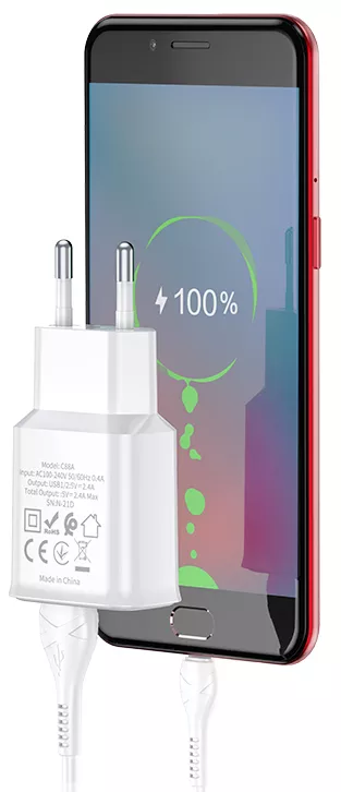 Сетевое зарядное устройство Hoco C88A 2.4a 2xUSB-A ports charger + micro USB cable white - фото 5