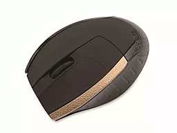 Компьютерная мышка Aneex E-M550 USB Black/Gold - фото Компьютерная мышка Aneex E-M550 USB Black/Gold