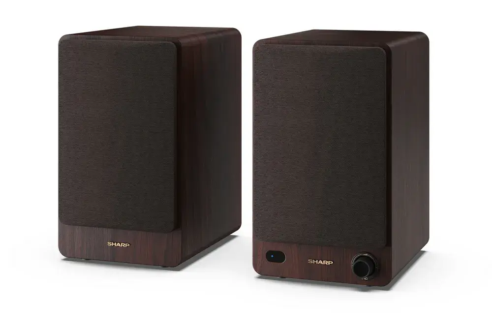 Колонки акустичні Sharp CP-SS30 Brown - фото 4
