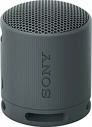Колонки акустические Sony SRS-XB100 Black (SRSXB100B) - фото Колонки акустические Sony SRS-XB100 Black (SRSXB100B)