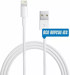 USB Кабель Apple iPhone Lightning Cable 2м Всі версії iOS! White (SDMD818)