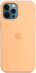 Чохол Apple Silicone Case Full with MagSafe and SplashScreen для Apple iPhone 12 Pro Max  Cantaloupe