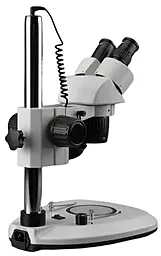 Микроскоп AmScope бинокулярный SW-2B24-6WA-V331 с двойной подсветкой и дискретной регулировкой кратности до 40X - миниатюра 3