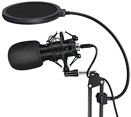 Мікрофон Blitzwolf BW-CM2 Black - мініатюра 5