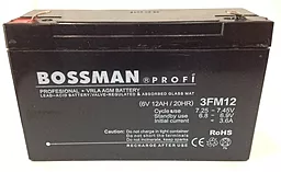 Аккумуляторная батарея Bossman Profi 6V 12Ah (3FM12)
