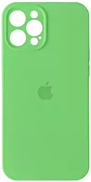 {"ru": "Чехол", "uk": "Чохол"} Silicone Case Full Camera для Apple iPhone 13 Pro Max  Spearmint
