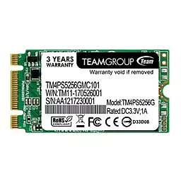 Накопичувач SSD Team Lite 256 GB M.2 2242 SATA 2 (TM4PS5256GMC101)