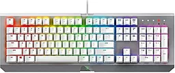 Клавиатура Razer Black Widow X CHROMA Mercury Edition (RZ03-01762000-R3M1) - фото Клавиатура Razer Black Widow X CHROMA Mercury Edition (RZ03-01762000-R3M1)