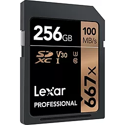 Карта пам'яті Lexar SDXC 256GB Professional 667x Class 10 UHS-I U3 V30 (LSD256B667) - мініатюра 2