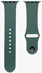 Ремінець Silicone Band S для Apple Watch 42mm/44mm/45mm/49mm Cactus