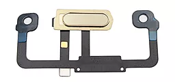 Шлейф Huawei Mate 9 Pro c сканером отпечатка пальца Haze Gold - фото Шлейф Huawei Mate 9 Pro c сканером отпечатка пальца Haze Gold