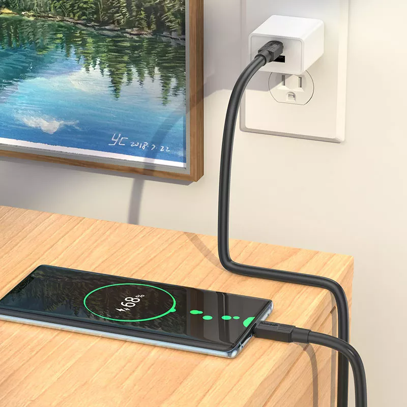 Кабель Hoco X84 USB Type-C - Type-C 60w 3a 1м PD cable Black - фото 4