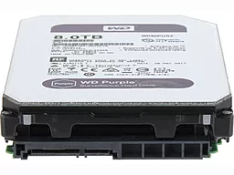 Жорсткий диск Western Digital Purple 8TB (WD81PURZ) - мініатюра 2