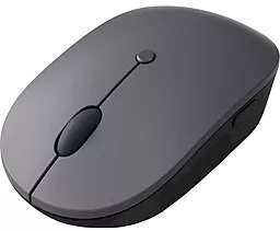 Компьютерная мышка Lenovo Go USB-C Wireless Mouse Thunder Black (4Y51C21216) - фото Компьютерная мышка Lenovo Go USB-C Wireless Mouse Thunder Black (4Y51C21216)