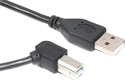 Кабель (шлейф) Value USB 2.0 AM/BM 1м чёрный (S0672) - фото Кабель (шлейф) Value USB 2.0 AM/BM 1м чёрный (S0672)