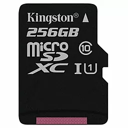 Карта памяти Kingston microSDXC 256GB Class 10 UHS-I U1 (SDC10G2/256GBSP)