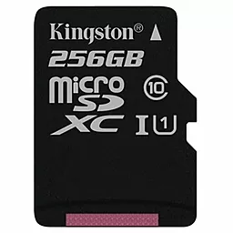Карта пам'яті Kingston microSDXC 256GB Class 10 UHS-I U1 (SDC10G2/256GBSP) - фото Карта пам'яті Kingston microSDXC 256GB Class 10 UHS-I U1 (SDC10G2/256GBSP)