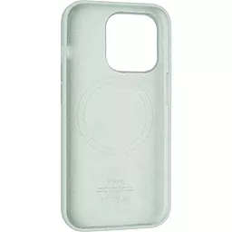 Чохол Apple Silicone Case Full with MagSafe and SplashScreen для Apple iPhone 14 Pro Succulent - мініатюра 2
