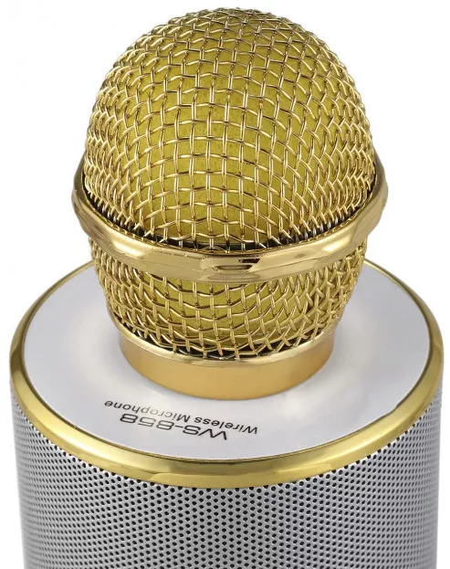 Беспроводной микрофон для караоке Wester  WS-858 Gold - фото 3