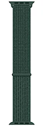 Змінний ремінець для розумного годинника Nylon Apple Watch 38mm/40mm Pine Needle Green