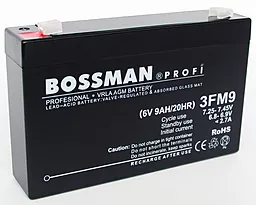 Акумуляторна батарея Bossman Profi 6V 9Ah (3FM9) - мініатюра 2
