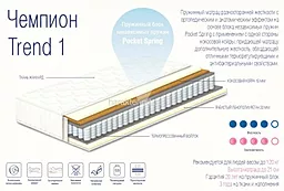 Матрас Сонлайн Чемпион Trend 1 90х200