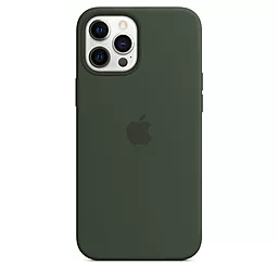 Чехол Silicone Case Full для Apple iPhone 12 Pro Max Forest Green