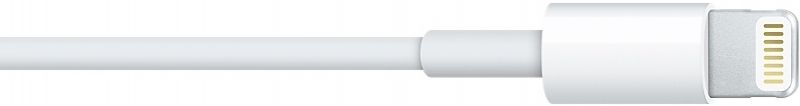 USB Кабель Apple iPhone Lightning to USB 2.0 (MD818) Всі версії iOS! White / зображення №1